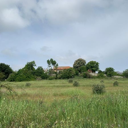Domaine le Commandaire Roumoules Extérieur photo