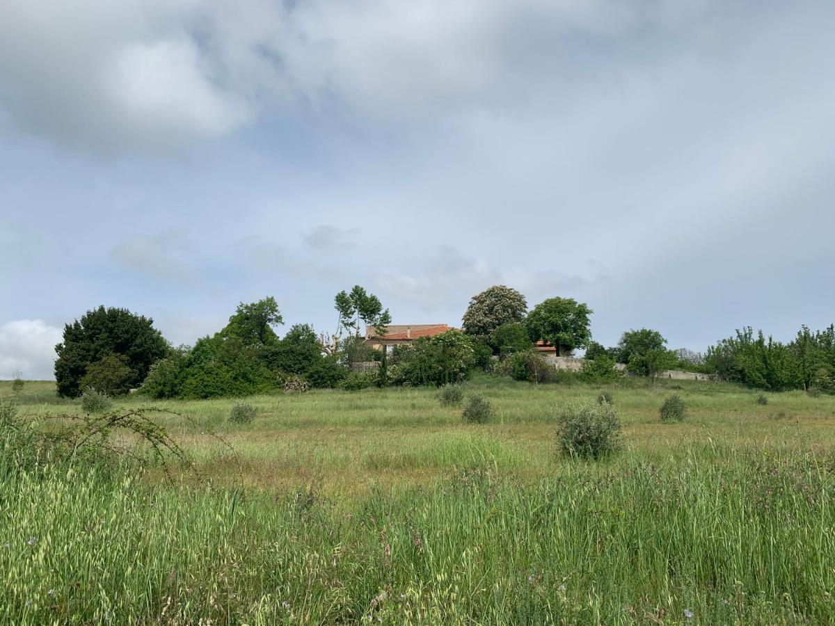 Domaine le Commandaire Roumoules Extérieur photo